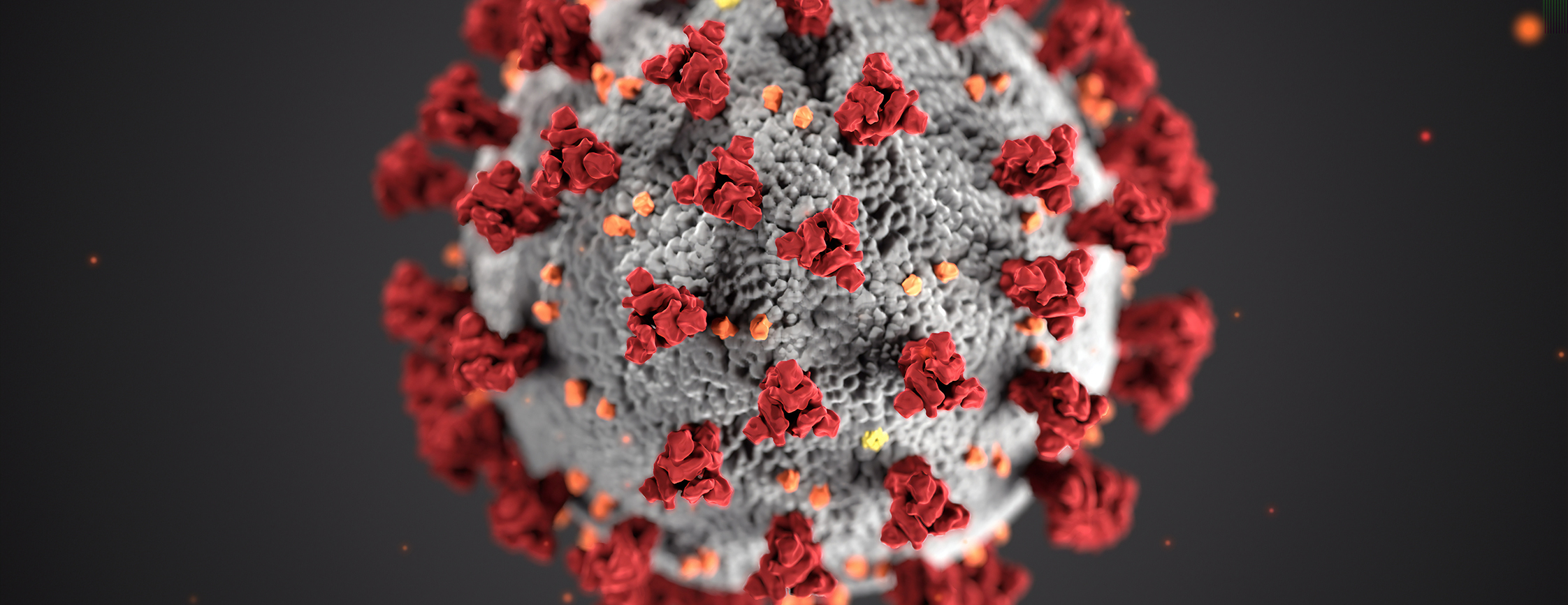 Bild das Corona Virus zeigt
